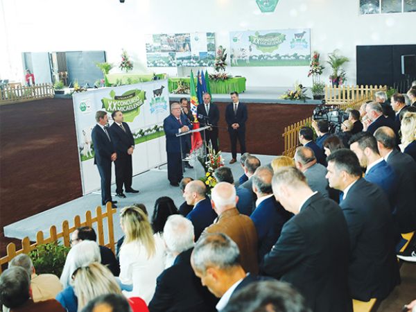 1728060719aa_Concurso_Micaelense_da_Raca_Holstein_Frisia.jpg