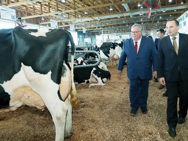 1728061981aa_Mostra_de_excelencia_internacional.jpg