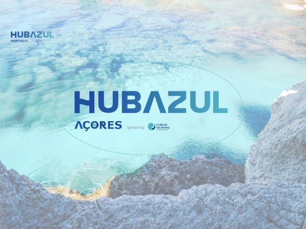 1734041116GR17_Mar_dos_Acores_16846048.jpg