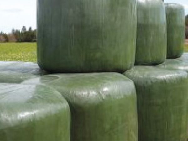 1735993813aa5_plastificacao_dos_rolos_de_erva_ID=198.jpg