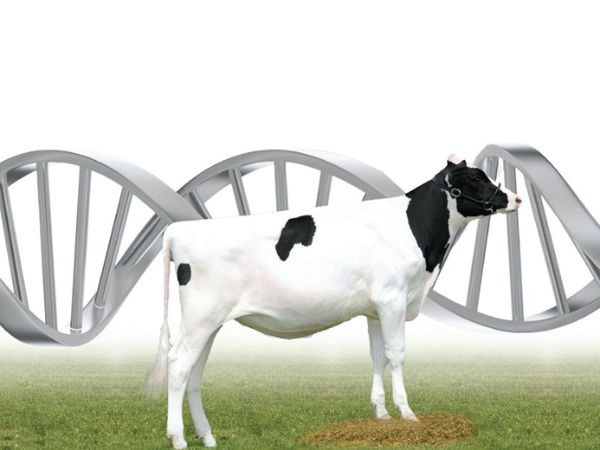 1736010031aa16_Fertilidade_e_Genetica_ID=179.jpg