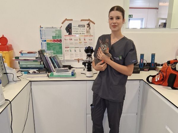 1752510814clinica_vet_paim_saudeanimal_doenca_renal_nos_gatos.jpg