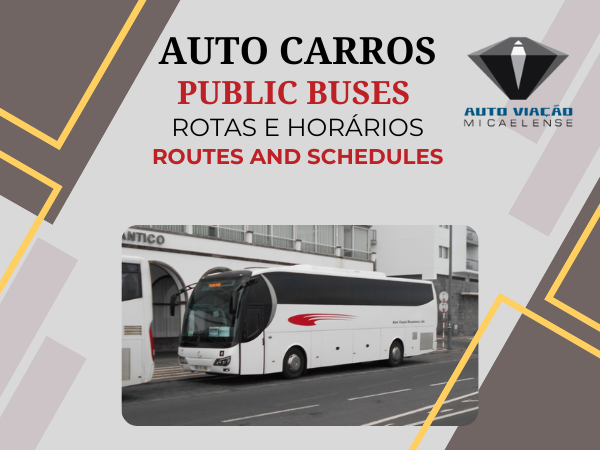 Transportes Publicos em S.Miguel