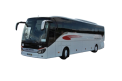 Transportes Publicos em S.Miguel